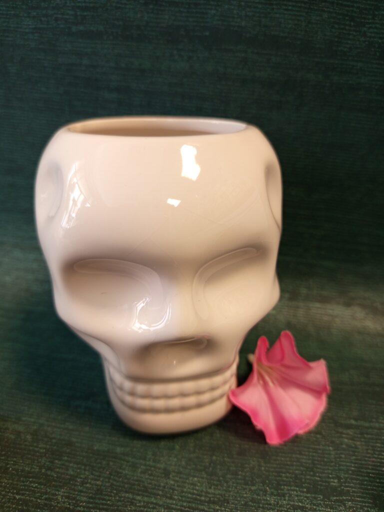 Cache pot tête de mort