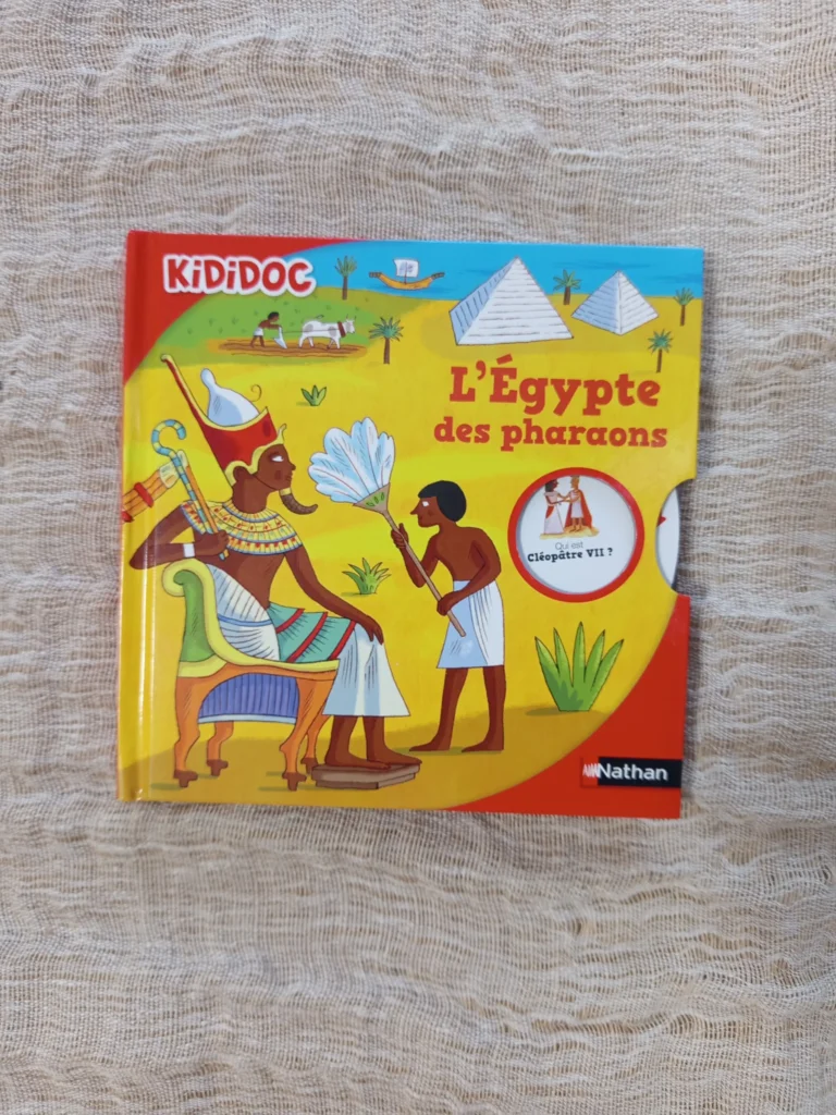 livre-enfant-occasion-caluire