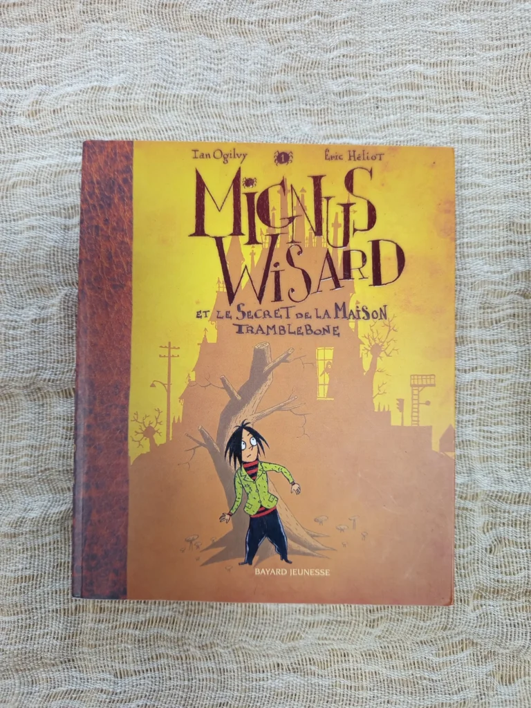 livre-enfant-occasion-caluire